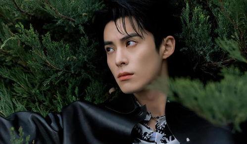 娱乐吃瓜爆料王鹤棣,娱乐圈新晋“吃瓜王”,揭秘明星幕后故事